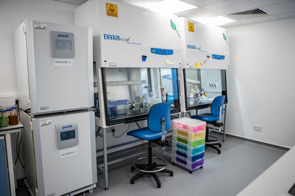 Scientist working inside a Class II Biosafety Cabinet for mammalian cell culture